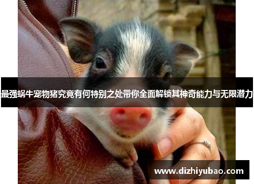 最强蜗牛宠物猪究竟有何特别之处带你全面解锁其神奇能力与无限潜力